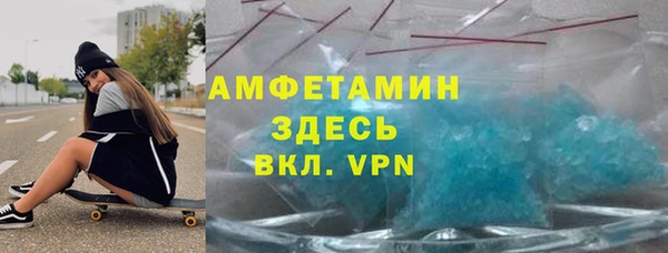 прущие грибы Аркадак