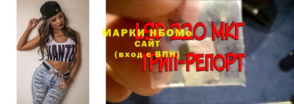 спайс Алзамай