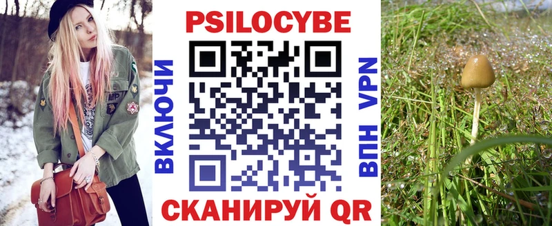Псилоцибиновые грибы Magic Shrooms  кракен сайт  Агрыз  где купить наркоту 